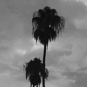 Meet your Posher, Anisa